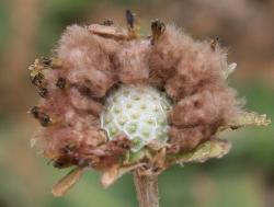 Image: Trevor James © Trevor James 